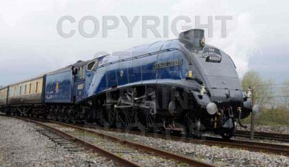 Purchase posters of 60007 SIR NIGEL GRESLEY