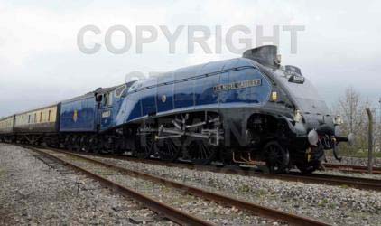 Purchase posters of 60007 SIR NIGEL GRESLEY