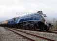 Photograph of SIR NIGEL GRESLEY - 60007 SIR NIGEL GRESLEY at Didcot on 05/04/14