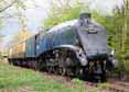Photograph of SIR NIGEL GRESLEY - 60007 SIR NIGEL GRESLEY at Didcot on 05/04/14