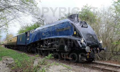 Purchase posters of 60007 SIR NIGEL GRESLEY