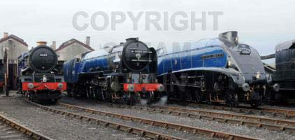 Purchase posters of 6023 KING EDWARD II,  60163 TORNADO &amp;  60007 SIR NIGEL GRESLEY