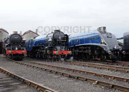 Purchase photo of 6023 KING EDWARD II,  60163 TORNADO &  60007 SIR NIGEL GRESLEY at Didcot