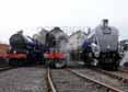 Photograph of SIR NIGEL GRESLEY - 6023 KING EDWARD II,  60163 TORNADO &  60007 SIR NIGEL GRESLEY at Didcot on 05/04/14