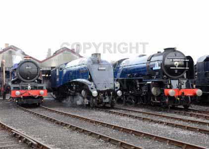 Purchase photo of 6023 KING EDWARD II,  60163 TORNADO &  60007 SIR NIGEL GRESLEY at Didcot