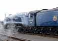 Photograph of SIR NIGEL GRESLEY - 60007 SIR NIGEL GRESLEY at Didcot on 05/04/14