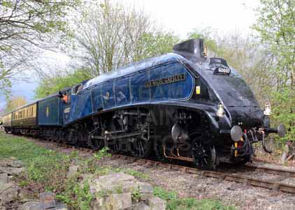 Purchase photo of 60007 SIR NIGEL GRESLEY at Didcot