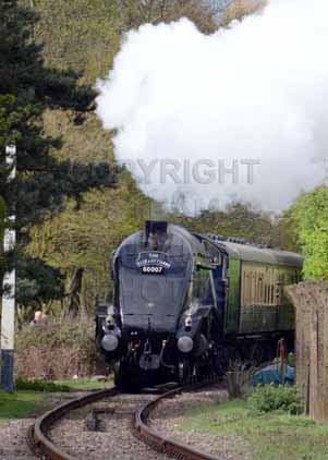 Purchase photo of 60007 SIR NIGEL GRESLEY at Didcot