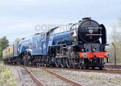 Purchase photo of 60163 TORNADO &  60007 SIR NIGEL GRESLEY at Didcot