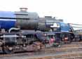 Photograph of SIR NIGEL GRESLEY - 6023 KING EDWARD II,  60163 TORNADO &  60007 SIR NIGEL GRESLEY at Didcot on 05/04/14