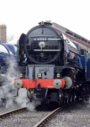 Purchase photo of 60163 TORNADO at Didcot