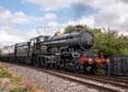 Photograph of PENDENNIS CASTLE - 4079 PENDENNIS CASTLE at Didcot on 05/08/26