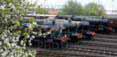 Poster ofSteam Images - Four In Line at Didcot on 05/05/10