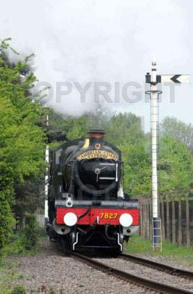 Purchase posters of 7827 LYDHAM MANOR