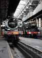 Photograph of 0-6-0PT - 3738 0-6-0PT &  5029 NUNNEY CASTLE at Didcot on 05/05/10