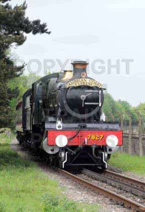 Purchase posters of 7827 LYDHAM MANOR