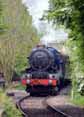Photograph of KING EDWARD II - 6023 KING EDWARD II at Didcot on 05/05/14