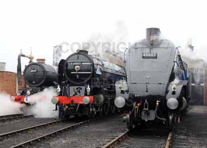 Purchase photo of 6023 KING EDWARD II,  60163 TORNADO &  60007 SIR NIGEL GRESLEY at Didcot