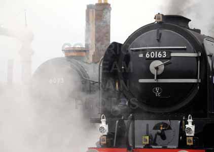 Purchase photo of 60163 TORNADO at Didcot