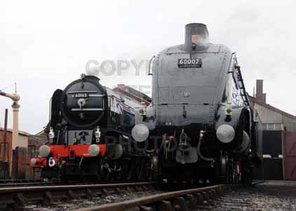 Purchase photo of 60163 TORNADO &  60007 SIR NIGEL GRESLEY at Didcot