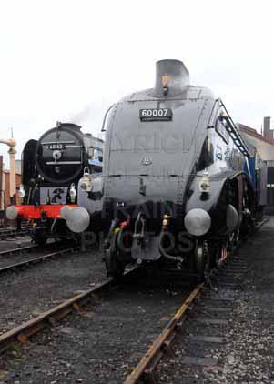 Purchase photo of 60163 TORNADO &  60007 SIR NIGEL GRESLEY at Didcot