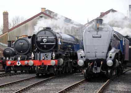 Purchase photo of 60163 TORNADO &  60007 SIR NIGEL GRESLEY at Didcot
