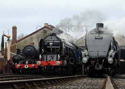 Purchase photo of 60163 TORNADO &  60007 SIR NIGEL GRESLEY at Didcot