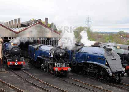 Purchase photo of 6023 KING EDWARD II,  60163 TORNADO &  60007 SIR NIGEL GRESLEY at Didcot