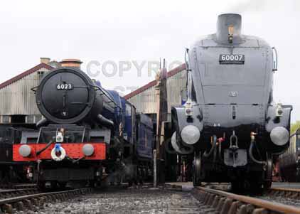 Purchase photo of 6023 KING EDWARD II &  60007 SIR NIGEL GRESLEY at Didcot