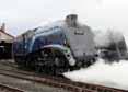 Photograph of SIR NIGEL GRESLEY - 60007 SIR NIGEL GRESLEY at Didcot on 06/04/14