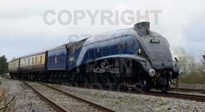 Purchase posters of 60007 SIR NIGEL GRESLEY