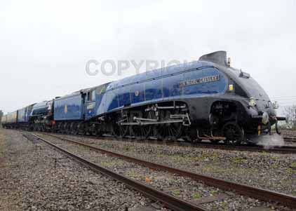 Purchase photo of 60007 SIR NIGEL GRESLEY &  60163 TORNADO at Didcot