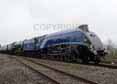 Photograph of SIR NIGEL GRESLEY - 60007 SIR NIGEL GRESLEY &  60163 TORNADO at Didcot on 06/04/14
