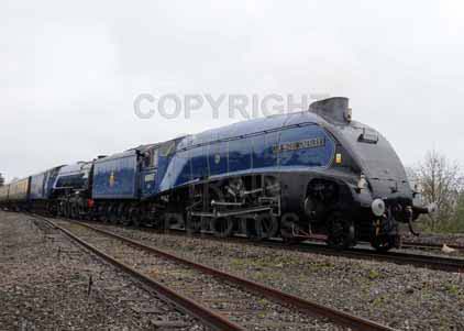 Purchase photo of 60007 SIR NIGEL GRESLEY &  60163 TORNADO at Didcot