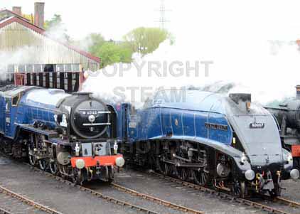 Purchase photo of 60163 TORNADO &  60007 SIR NIGEL GRESLEY at Didcot