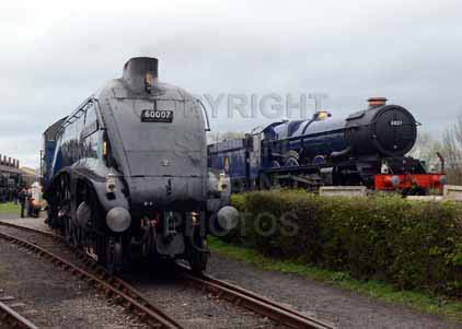 Purchase photo of 60007 SIR NIGEL GRESLEY &  6023 KING EDWARD II at Didcot