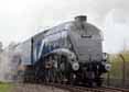 Photograph of SIR NIGEL GRESLEY - 60007 SIR NIGEL GRESLEY at Didcot on 07/04/14