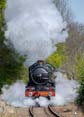 Photograph of PENDENNIS CASTLE - 4079 PENDENNIS CASTLE at Didcot on 06/04/26