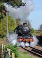 Photograph of PENDENNIS CASTLE - 4079 PENDENNIS CASTLE at Didcot on 06/04/26
