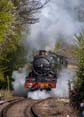 Photograph of PENDENNIS CASTLE - 4079 PENDENNIS CASTLE at Didcot on 06/04/26