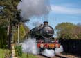 Photograph of PENDENNIS CASTLE - 4079 PENDENNIS CASTLE at Didcot on 06/04/26