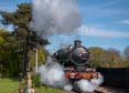 Photograph of PENDENNIS CASTLE - 4079 PENDENNIS CASTLE at Didcot on 06/04/26