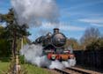 Photograph of PENDENNIS CASTLE - 4079 PENDENNIS CASTLE at Didcot on 06/04/26