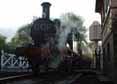 Photograph of 0-4-2T - 1450 0-4-2T at Didcot on 06/05/10