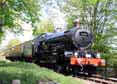 Photograph of KING EDWARD II - 6023 KING EDWARD II at Didcot on 06/05/13