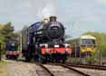 Photograph of Steam Images - Train Collection at Didcot on 06/05/13