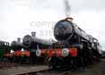 Photograph of HINDERTON HALL - 3717 CITY OF TRURO,  5900 HINDERTON HALL &  5029 NUNNEY CASTLE at Didcot on 07/05/10