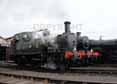 Photograph of 0-4-2T - 1450 0-4-2T at Didcot on 07/05/10