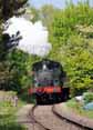 Photograph of 0-4-2T - 1450 0-4-2T at Didcot on 07/05/10