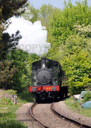 Purchase photo of 1450 0-4-2T at Didcot